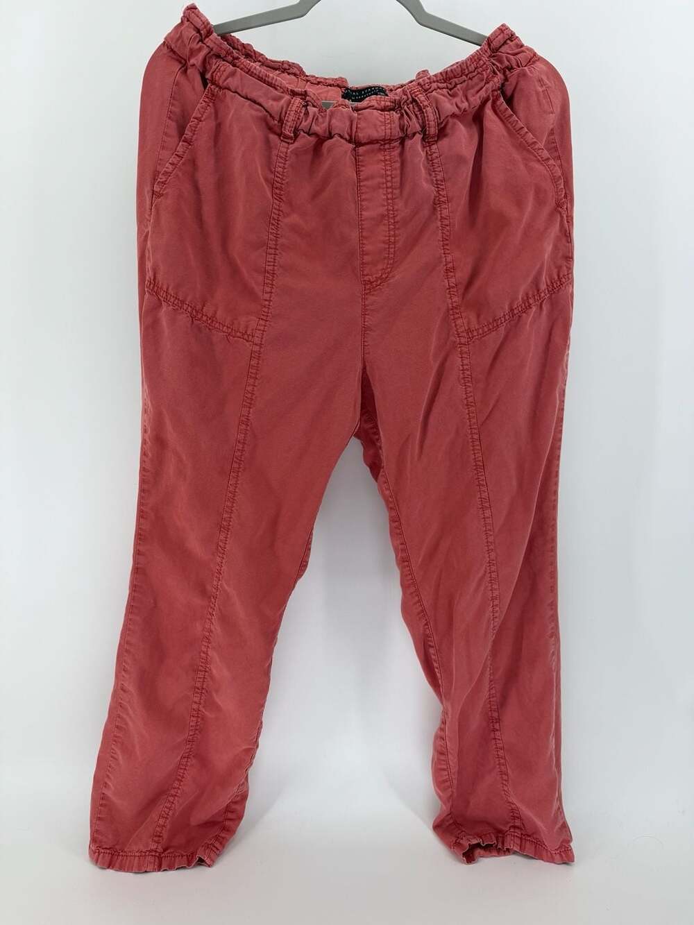 Social Standard by Sanctuary Tencel Pull-On Pants Size L/G Rust Red Cropped